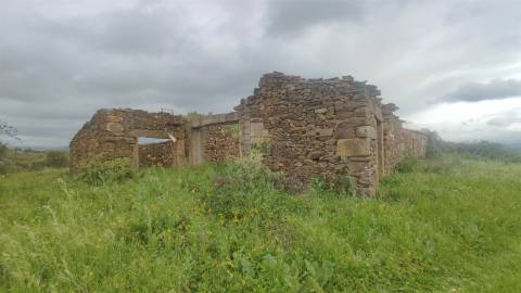 Herdade de 16Ha em Safurdão