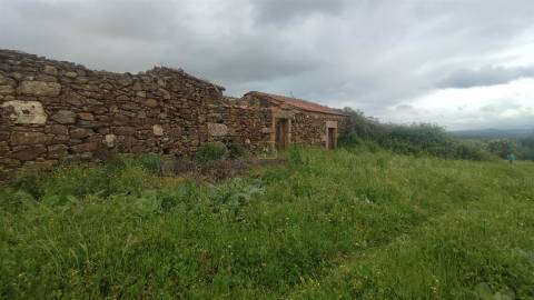 Herdade de 16Ha em Safurdão
