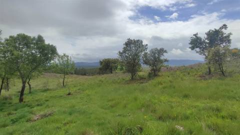 Herdade de 16Ha em Safurdão