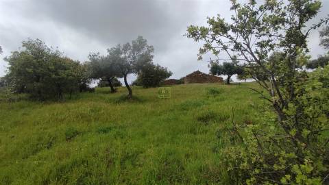 Herdade de 16Ha em Safurdão