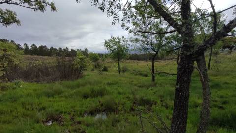 Herdade de 16Ha em Safurdão