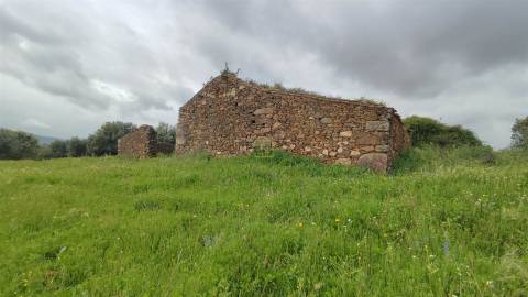 Herdade de 16Ha em Safurdão