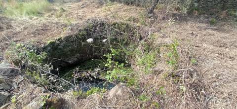 Herdade de 16Ha em Safurdão