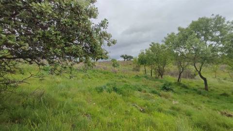 Herdade de 16Ha em Safurdão