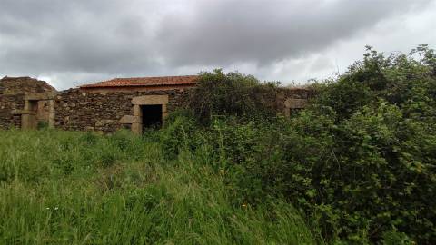Herdade de 16Ha em Safurdão