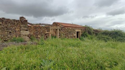 Herdade de 16Ha em Safurdão