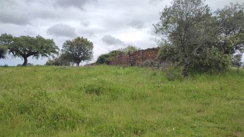 Herdade de 16Ha em Safurdão