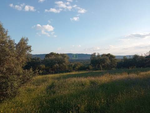 Herdade de 16Ha em Safurdão