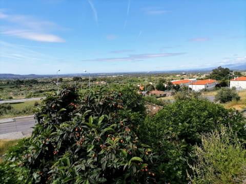 Moradia com 80m2 para remodelar - Centro Penamacor