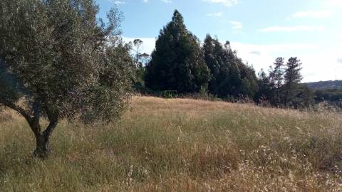 Terreno rústico em Aranhas, Penamacor