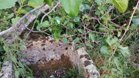 Terreno rústico em Aranhas, Penamacor