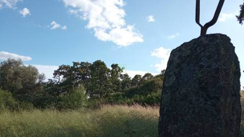 Terreno rústico em Aranhas, Penamacor
