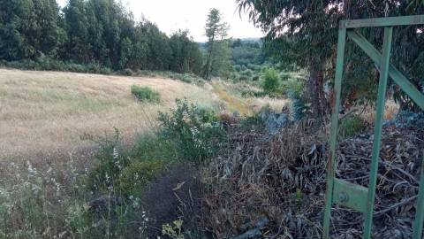 Terreno rústico em Aranhas, Penamacor