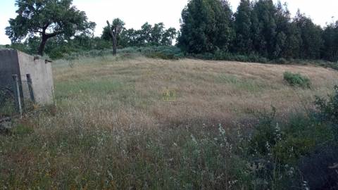 Terreno rústico em Aranhas, Penamacor