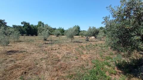 Quintinha em Penamacor