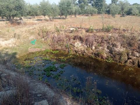 Quintinha em Penamacor