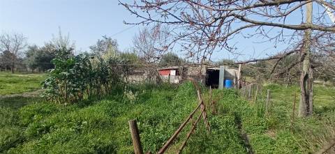 Quintinha em Penamacor