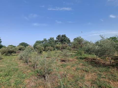 Quintinha em Penamacor