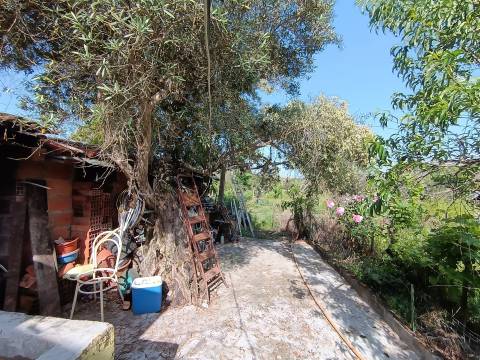 Quintinha em Penamacor