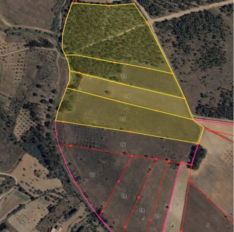 Terreno Rústico - Ribeiro - 2.35 ha - Penamacor