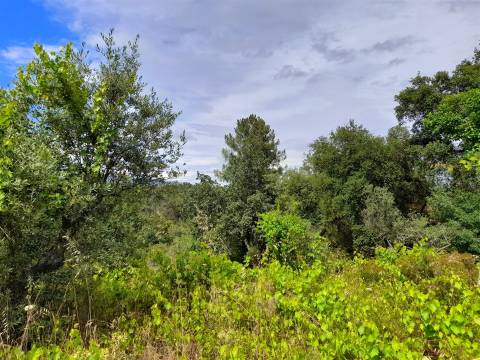 Quintinha isolada com 1400m2, vistas para Vale.