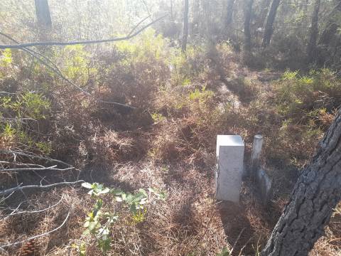 Terreno Rústico - 1320m2 - Sarzedas