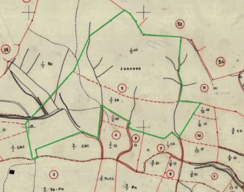 Terreno Rústico - 3.95 ha - Sarzedas
