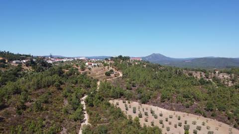 Terreno Rústico - 3.088 ha - Sarzedas