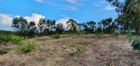 Quinta para venda na freguesia de Santo André das Tojeiras - Castelo Branco