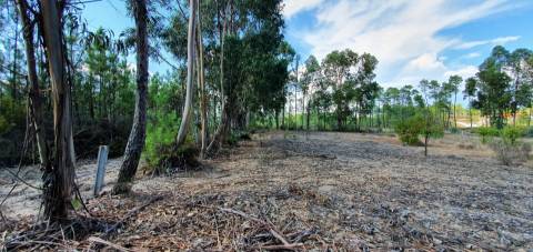 Quinta para venda na freguesia de Santo André das Tojeiras - Castelo Branco