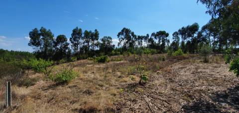 Quinta para venda na freguesia de Santo André das Tojeiras - Castelo Branco