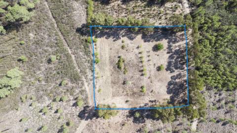 Quinta para venda na freguesia de Santo André das Tojeiras - Castelo Branco