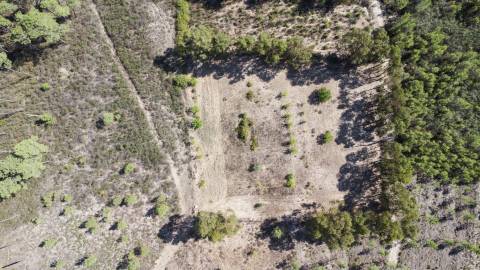 Quinta para venda na freguesia de Santo André das Tojeiras - Castelo Branco