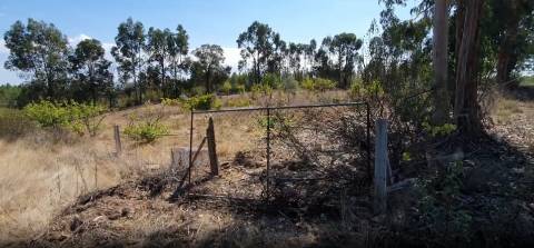 Quinta para venda na freguesia de Santo André das Tojeiras - Castelo Branco