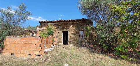Moradia com terreno na freguesia de Santo André das Tojeiras