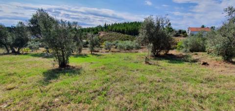 Moradia com terreno na freguesia de Santo André das Tojeiras