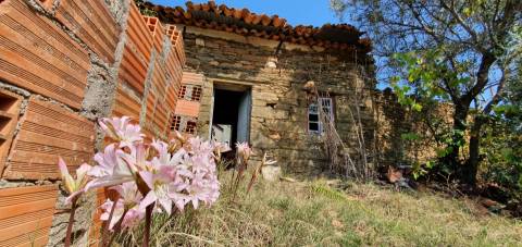 Moradia com terreno na freguesia de Santo André das Tojeiras