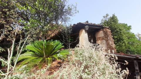 Moradia Isolada com cerca de 3.500m2 de quintal - Sobral do Campo