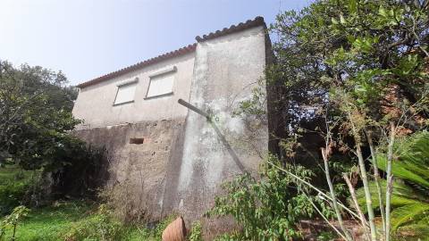 Moradia Isolada com cerca de 3.500m2 de quintal - Sobral do Campo