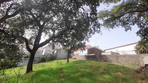 Moradia Isolada com cerca de 3.500m2 de quintal - Sobral do Campo