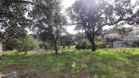 Moradia Isolada com cerca de 3.500m2 de quintal - Sobral do Campo