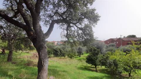 Moradia Isolada com cerca de 3.500m2 de quintal - Sobral do Campo