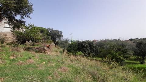 Moradia Isolada com cerca de 3.500m2 de quintal - Sobral do Campo