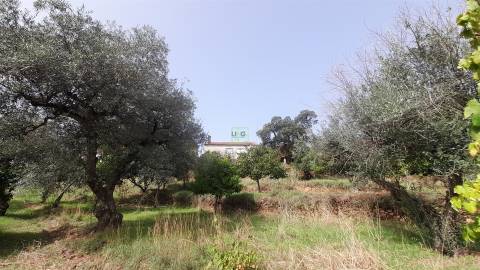 Moradia Isolada com cerca de 3.500m2 de quintal - Sobral do Campo