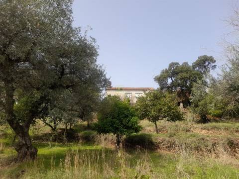 Moradia Isolada com cerca de 3.500m2 de quintal - Sobral do Campo