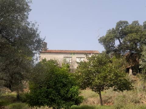 Moradia Isolada com cerca de 3.500m2 de quintal - Sobral do Campo