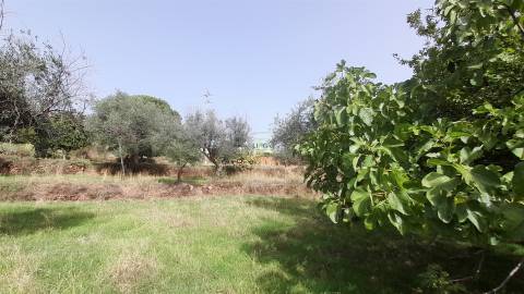 Moradia Isolada com cerca de 3.500m2 de quintal - Sobral do Campo