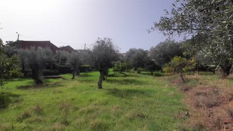 Moradia Isolada com cerca de 3.500m2 de quintal - Sobral do Campo