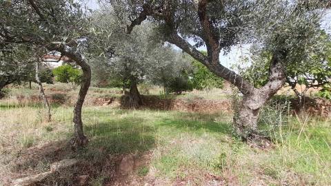 Moradia Isolada com cerca de 3.500m2 de quintal - Sobral do Campo