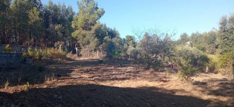 Quintinha em Aranhas